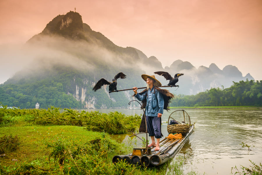 Pescador tradicional con cormoranes en Yangshuo, una experiencia cultural en China